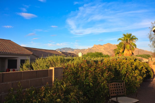 Santa Catalina Mountains